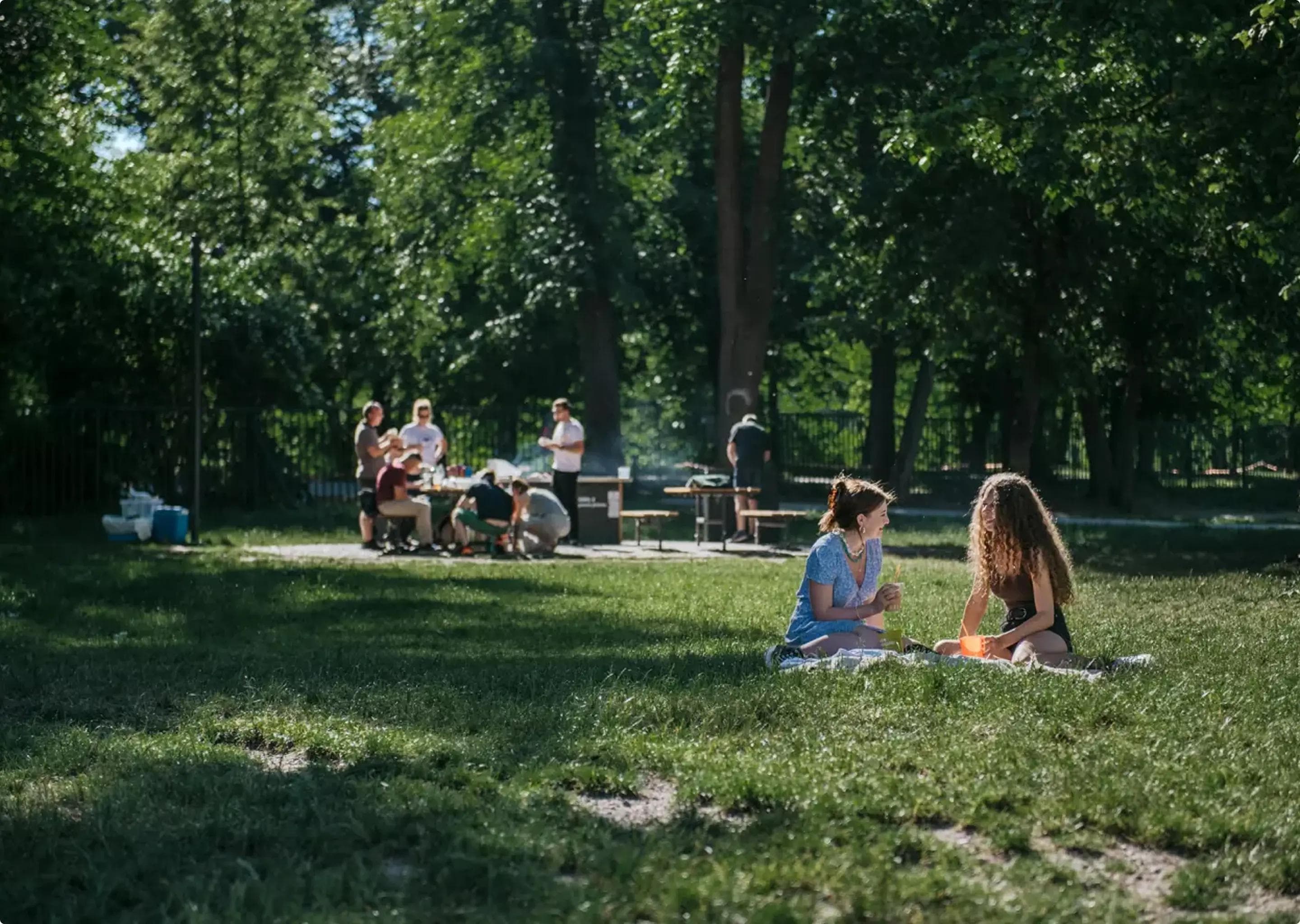 Pikniková louka u Borového rybníka